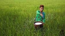  Fertilizer short supply