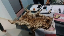 One Detained For Selling Leopard Skin, Nails In Odisha’s Kalahandi