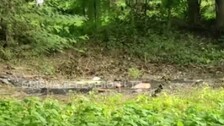 Elderly Man Jumps Into Wife’s Funeral Pyre