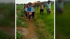 No End To Plight Of Patients: Sans Motorable Road, Woman Carried On Cot In Odisha