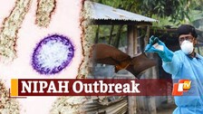 Nipah Virus Deaths, Kerala 