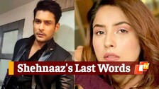 SidNaaz,   Shehnaaz Gill,And Sidharth Shukla 