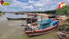 Bichitrapur Mangrove Reserve In Odisha's Balasore Is Too Tempting To Miss