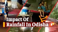 Several Parts Of Odisha Receive Heavy Rainfall Owing To Deep Depression Over BoB