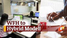 Work from home in IT companies