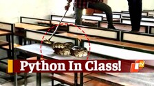 Python In Class!