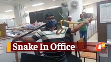 Snake, Snake Rescued, Snake In Office, Odisha Secretariat