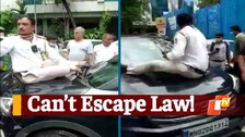 Viral Video, Traffic Violator, Traffic Rules