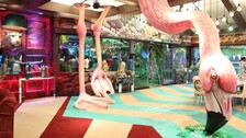 Giant Flamingo Stands Out In Jungle-Themed 'Bigg Boss 15' House