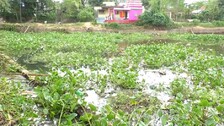 'MGNREGA Corruption' Sparks Voices Of Dissent In Kendrapada