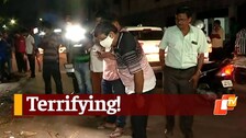 Human Limbs Found Dumped In Garbage Pile