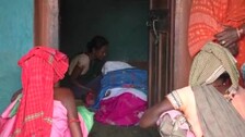 Anthrax Fear in Odisha 