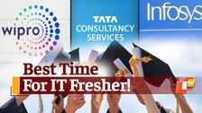 Jobs For Freshers