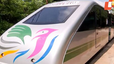 Nandankanan Toy Train Joyride Stops Midway Due To Technical Snag  
