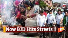 BJD’s Cycle Rally & Chulha Protest Over Rising Fuel Price, LPG Cylinder Rate