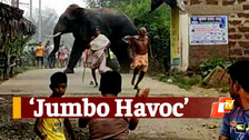 ‘Jumbo Havoc’