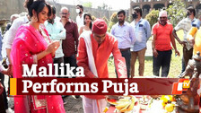 Mallika Sherawat Performs Mahurat Puja 
