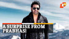 Prabhas, Baahubali, Saaho, Diehard Fan, Prabhas Fan, Prabhas Gifts Fan