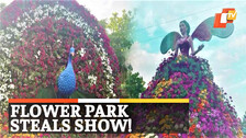 Nashik Flower Park, Flower Park, Nashik, Maharashtra, Tourist Spot