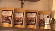 Koraput Coffee – A Brand Which Can Change Fate Of Tribals