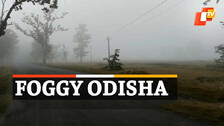 Foggy Weather Condition, Mayurbhanj
