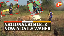 National Athlete, Now A Daily Wager 