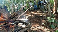 Elephant death in Similipal