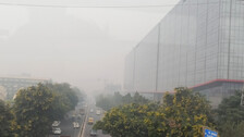 'Closer To Create Independent Task Force', SC Seeks States' Response On Worsening Delhi Air Pollution