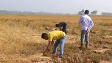 Cyclone Threat To Odisha: OUAT Sounds Alert For Farmers, Issues Advisory