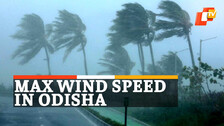 Cyclone Update, Cyclone JAWAD