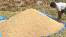 BJD-Led Govt Responsible For Low Income Of Farmers In Odisha: MP Saptagiri Ulaka  