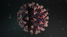 India's Omicron Tally Rises To 21 With 17 More Testing Positive For COVID Variant; Delhi, Rajasthan 