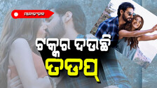 ଜବରଦସ୍ତ ରୋଜଗାର କରିଚାଲିଛି ‘ତଡପ୍’