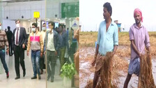 Cyclone Jawad: Central Team Holds Discussion With Odisha SRC, To Access Damage In 6 Dists 