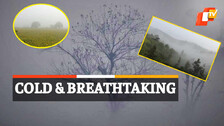 Odisha Weather, Cold Wave