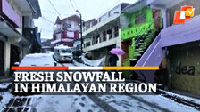 Fresh Snow Fall, Himalayan Region