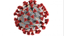 Surge In Cases Indicative Of Third Covid Wave In India: Expert