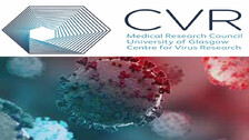 Will Omicron Duck Covishield And Covaxin?