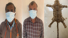 Leopard Skin Smuggling 
