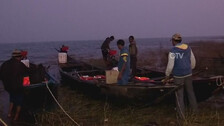 Annual Bird Census Begins At Hirakud Dam Reservoir