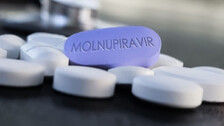 Molnupiravir Best Bet In Fight Against Covid: Experts