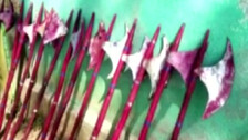 Odisha's Bolangir Gets Set To Witness Sulia Jatra 