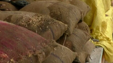Paddy Procurement