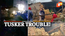 Elephant, Man Animal Conflict, Breaks House, Bonai