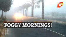 Odisha Weather, Odisha Winter, Dense Fog, Karanjia, Mayurbhanj