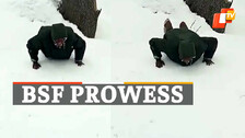 BSF Prowess  