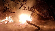 Forest Fire In Puri