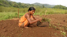 Panchayat Polls in Malkangiri