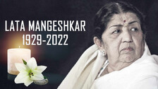 The Nightingale’s Journey! 