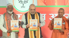 Free Electricity For Irrigation, Minimum 10-Yr Jail For 'Love jihad': BJP Manifesto For UP